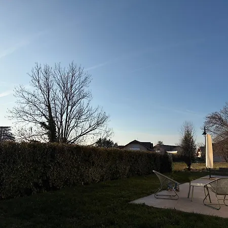 Apartment Cosy With Garden